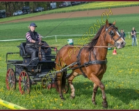 1POSIEUX 0201
